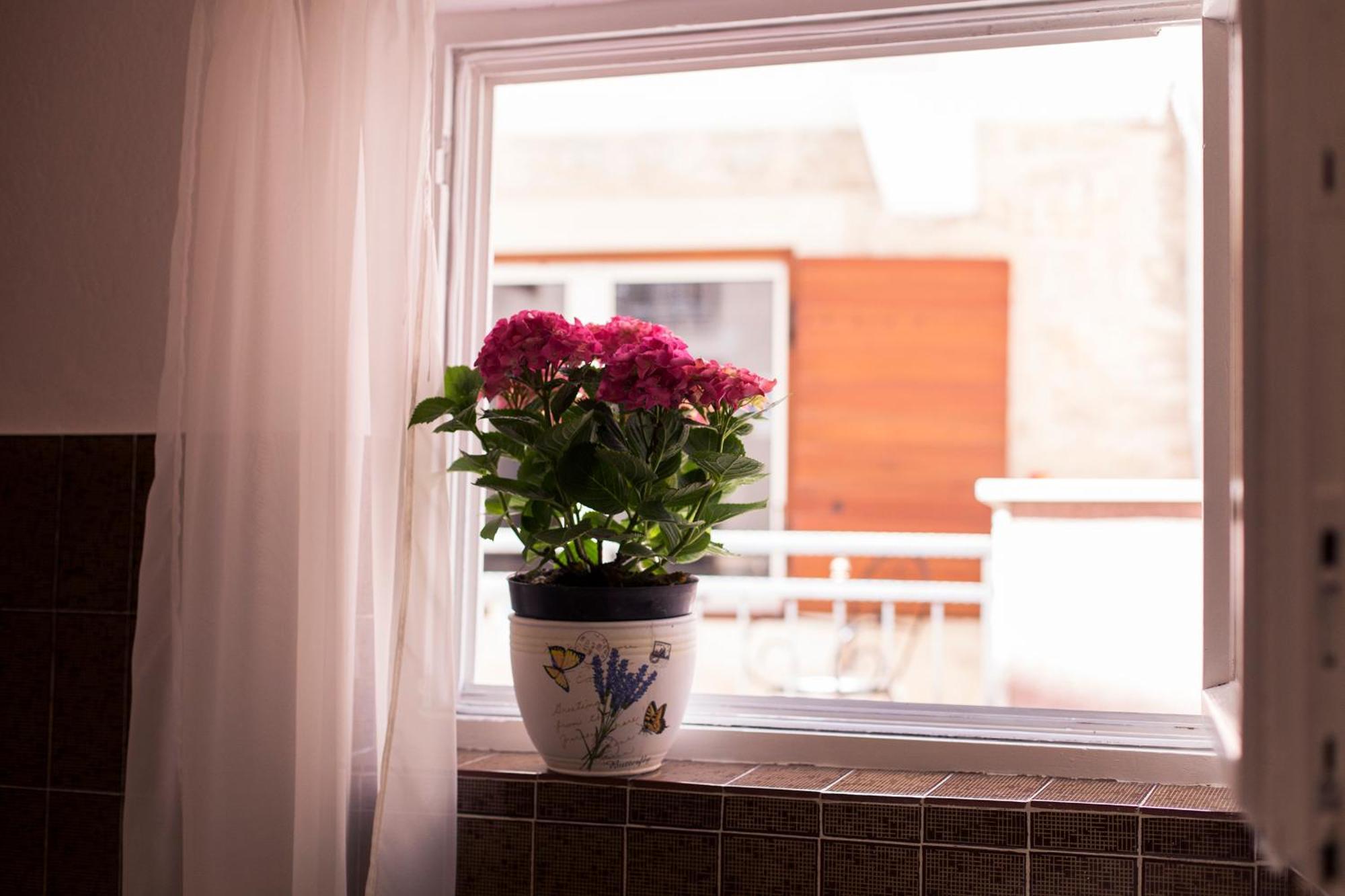 Apartments Roma 바스카보다 외부 사진